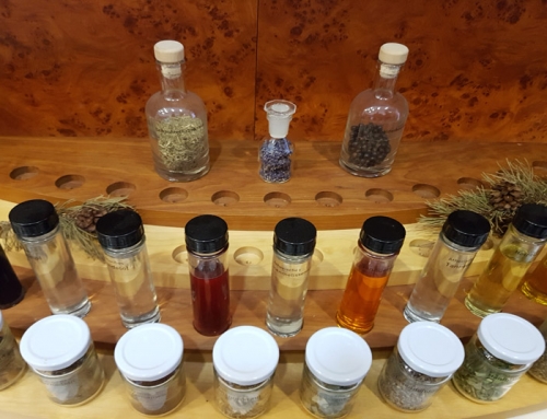 Visit to the natural materials laboratory