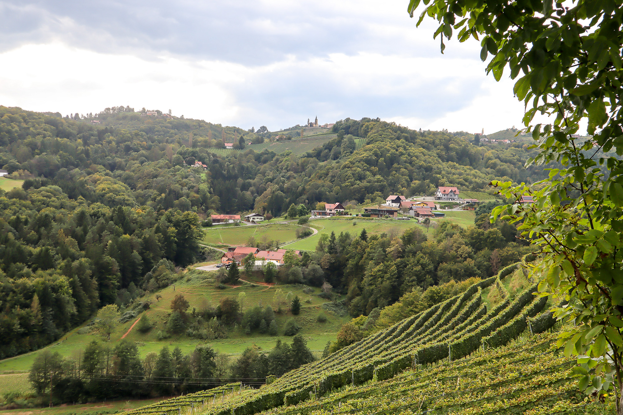 Ausblick in Südsteiermark auf Weinort Kitzeck
