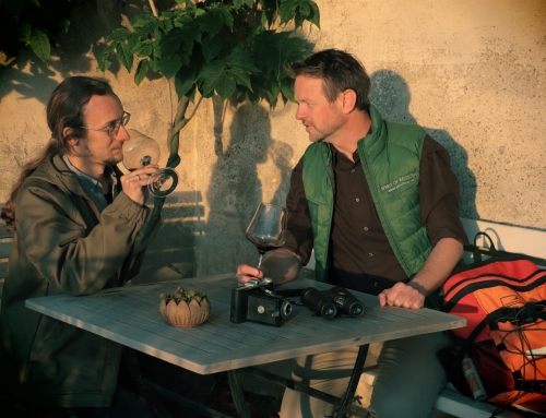 Vulkanland Wein Safari