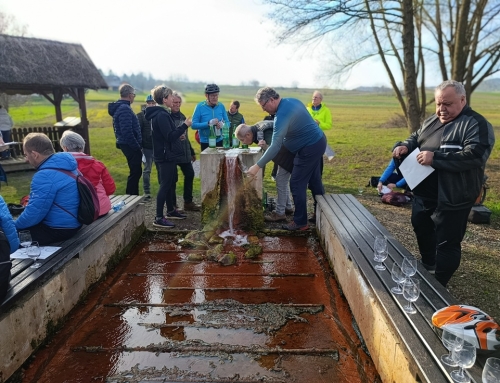 A Pilot test tour like a prekmurska gibanica – the whole is greater than the sum of its parts