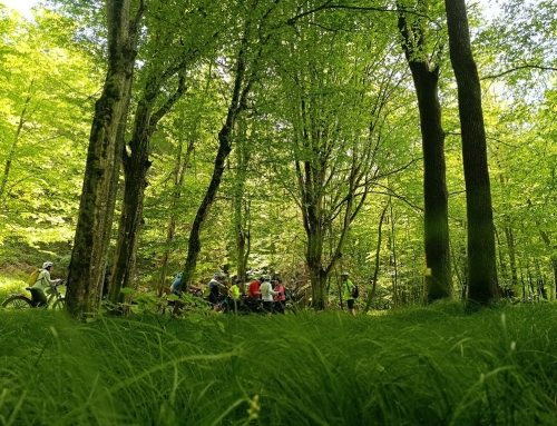 E-Bike-Testtour – Auf den Spuren von Mofetten und Heilquellen in Slowenien
