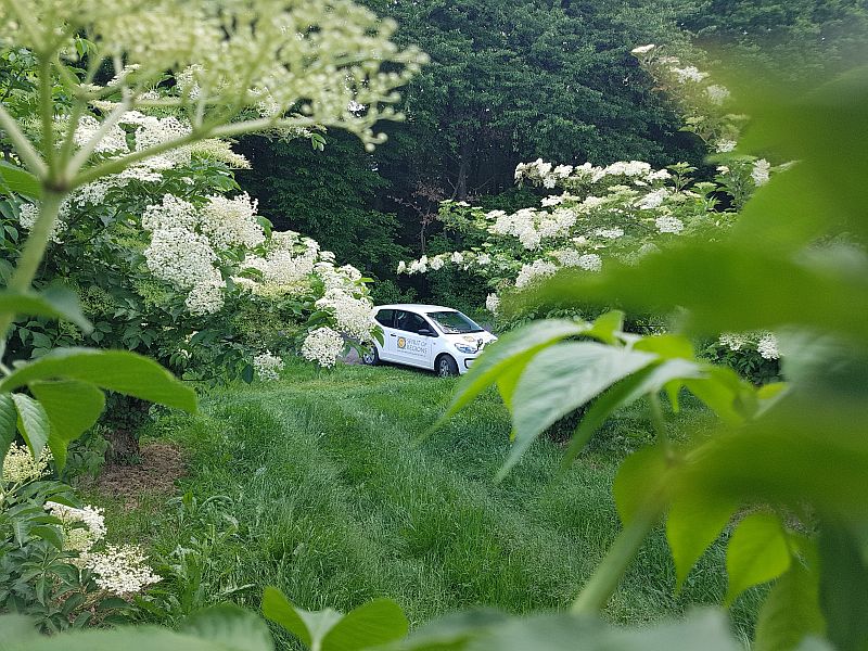 Mit Spirit of Regions auf Tour im Holunder-Garten im Vulkanland Steiermark