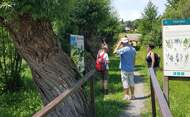 Über die Grenze gehen