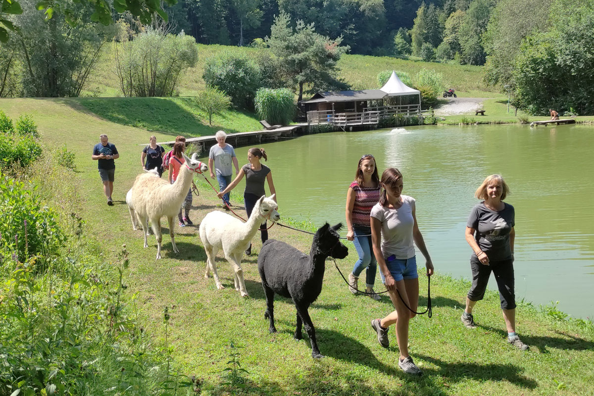 tiergestützte Intervention