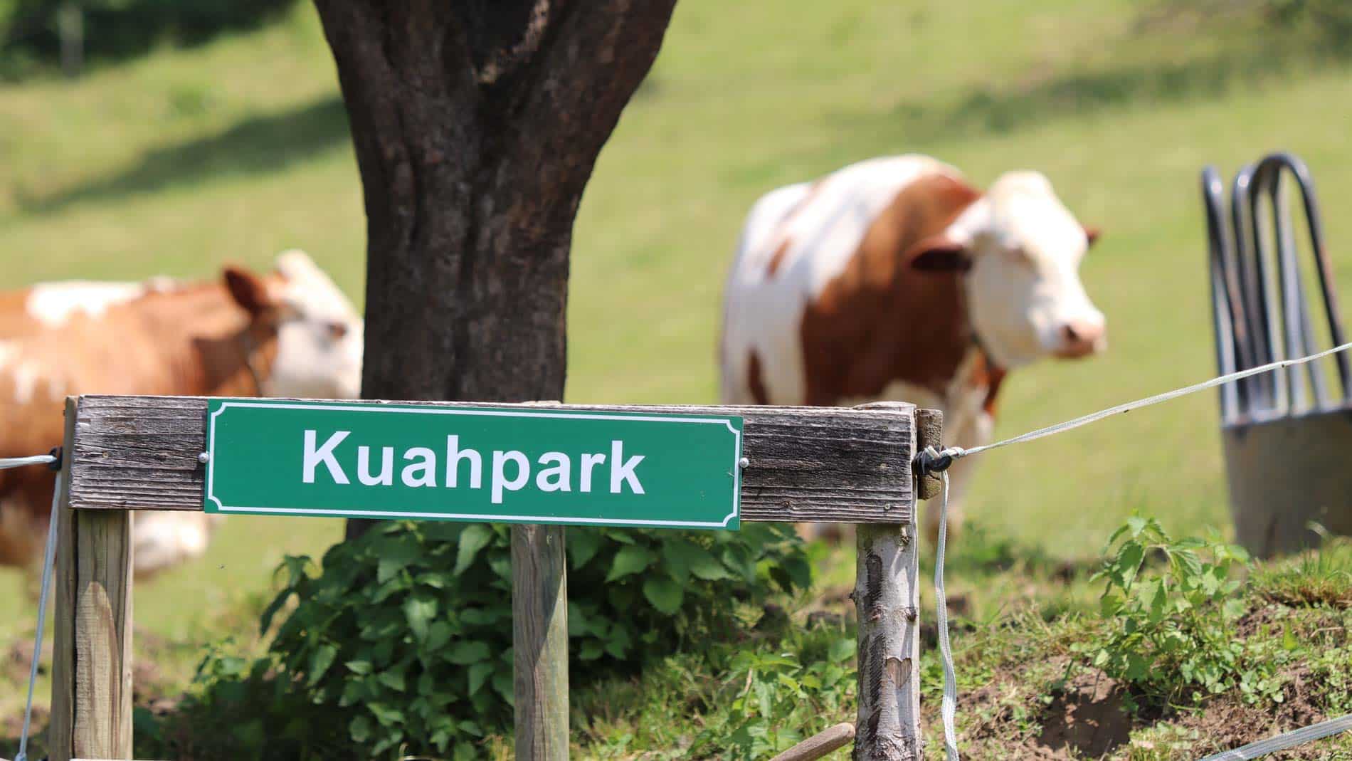 Kuahpark Milchhof Wurzinger