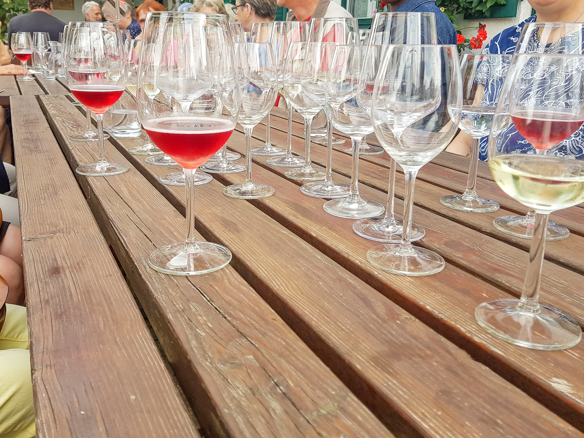 Tisch voller Weingläser zur Weinverkostung im Schilcherland