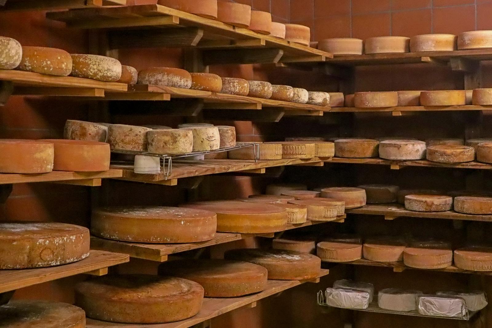 Käse in der Fromagerie zu Riegersburg an der Vulkanland Route 66
