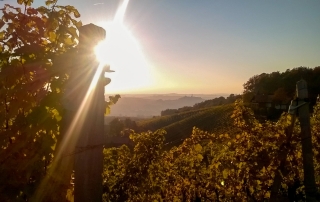 Sonnenuntergang im Herbst mit Blick Richtung Himmelsberg