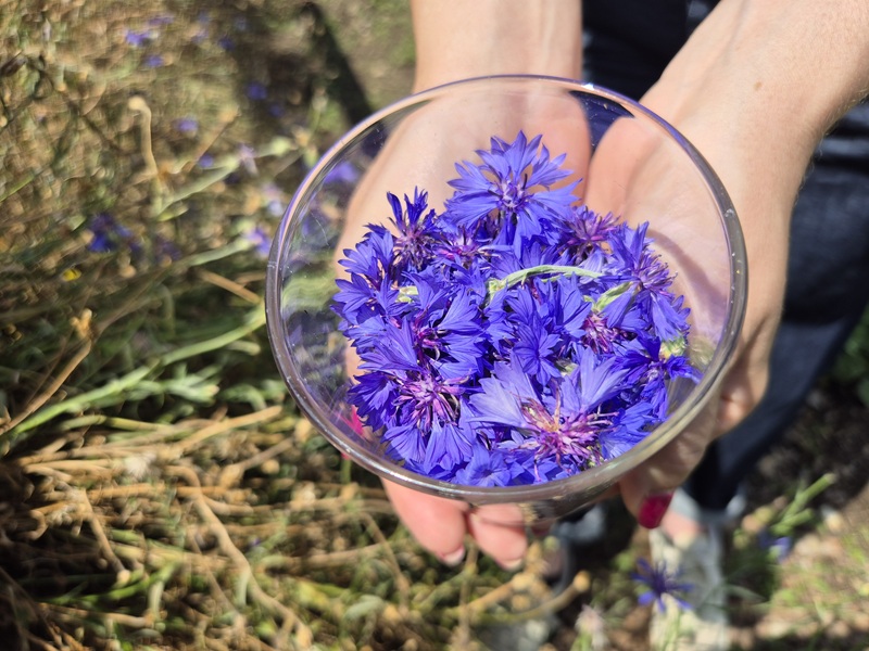 Irschen, Blumen